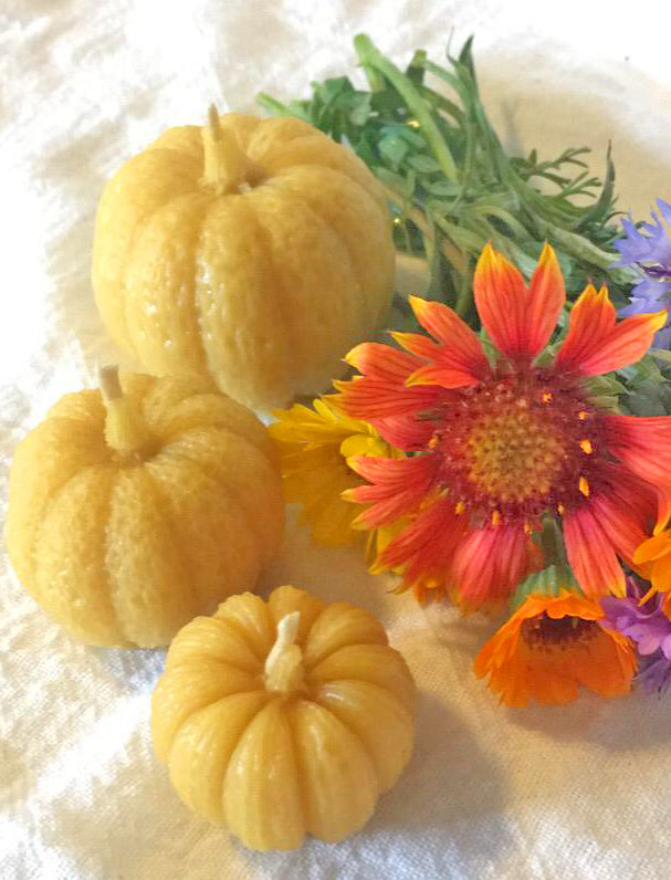 Beeswax Pumpkin Candle